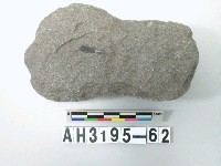 藏品(中型淺腰打製石斧)的圖片